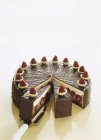 Chocolate raspberry cake — Stock Photo