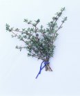 Bunch of thyme tied with rope — Stock Photo