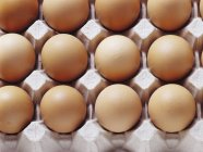 Eggs in egg tray — Stock Photo