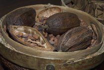 Frutas de cacao y granos de cacao - foto de stock
