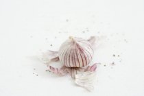 Ripe garlic bulb — Stock Photo