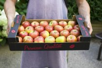 Man holding box of apples — Stock Photo