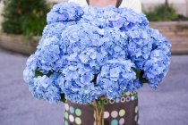Donna che tiene un sacco di ortensie blu — Foto stock