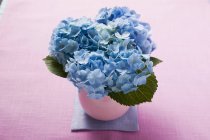 Vista elevada de flores de hortênsia azul em vaso — Fotografia de Stock