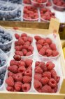 Fresh raspberries and blueberries — Stock Photo