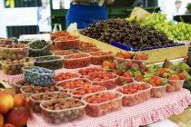 Свіжі стиглі ягоди та фрукти — стокове фото