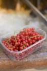 Frisch gepflückte rote Johannisbeeren — Stockfoto