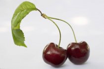 Due ciliegie con gambo — Foto stock