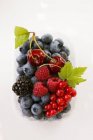 Assorted berries and two cherries — Stock Photo