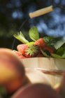 Свіжих, здорових, стиглих полуниць — стокове фото