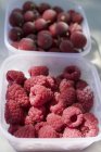 Fresh raspberries and gooseberries — Stock Photo