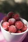 Red gooseberries in ceramic bowl — Stock Photo