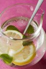 Lemonade with ice cubes and lemon balm — Stock Photo