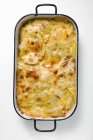 Frisches Kartoffelgratin — Stockfoto