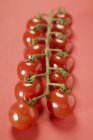 Tomates cereja maduros frescos — Fotografia de Stock