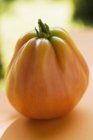 Свіжий стиглий жовтий помідор — стокове фото