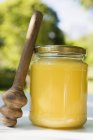 Vaso di miele con paletta — Foto stock