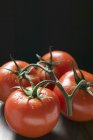 Четыре помидора на лозе — стоковое фото