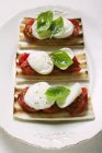 Tomaten-Mozzarella-Toast mit Basilikum — Stockfoto