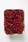 Fresh picked redcurrants — Stock Photo