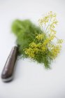 Dill flowers with knife — Stock Photo