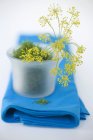 Aneto e fiori di aneto in ciotola — Foto stock