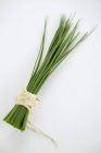 Fresh chives tied with rope — Stock Photo