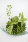 Fresh herbs in glass bowl — Stock Photo