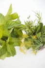 Fresh mint and bunch of herbs — Stock Photo