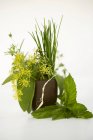Ramo de hierbas en vaso de precipitados marrón - foto de stock