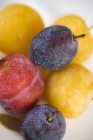 Yellow and black plums — Stock Photo