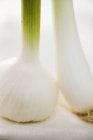 Fresh garlic and spring onion — Stock Photo