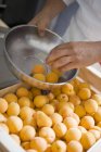 Мужские руки сортируют абрикосы — стоковое фото