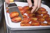 Colocación de tomates fritos en bandeja con servidor - foto de stock