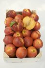 Nectarinas frescas y maduras - foto de stock