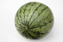 Fresh ripe watermelon — Stock Photo