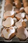 Gusci d'uovo in scatola di cartone — Foto stock