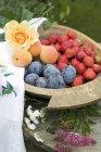Ciruelas y fresas frescas recogidas - foto de stock