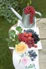 Redcurrants in watering can — Stock Photo