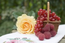 Raspberries and redcurrants in basket — Stock Photo