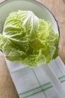 Fresh Chinese cabbage — Stock Photo
