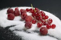 Raspberries and redcurrants in sugar — Stock Photo