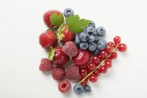 Смешанные летние ягоды — стоковое фото