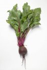 Ripe Beetroot with leaves — Stock Photo