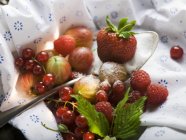 Ассорти ягод и ложка сахара — стоковое фото