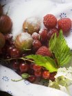 Fresh summer berries with sugar — Stock Photo