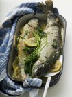 Elevated view of roast trout fish with lemon and herb in roasting tin — Stock Photo