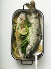 Roasted trout in roasting tin — Stock Photo