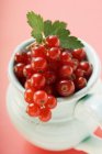 Ripe redcurrants with leaves — Stock Photo