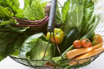Свежие овощи в корзине — стоковое фото